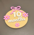 Baby Monthly Milestone Sing